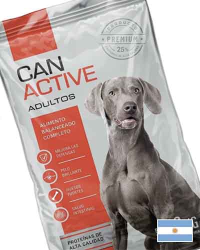 Can Active